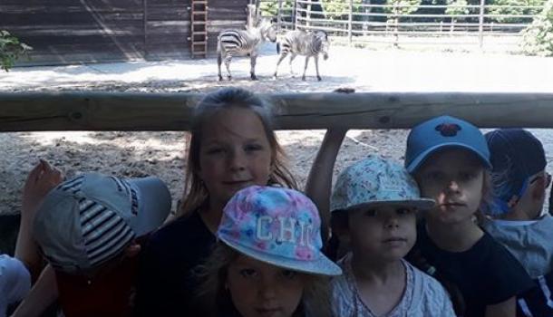 Wycieczka do Zoo w Płocku 