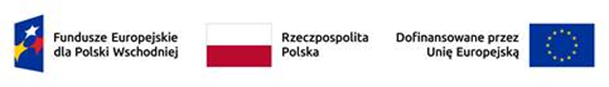 logotypy unijne