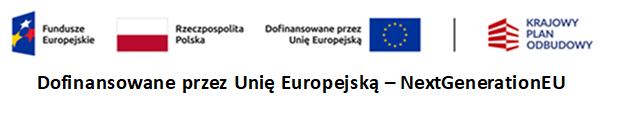 Dofinansowane przez Unię Europejską