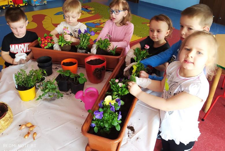 Zielony kącik w MPS nr 2 w Mławie
