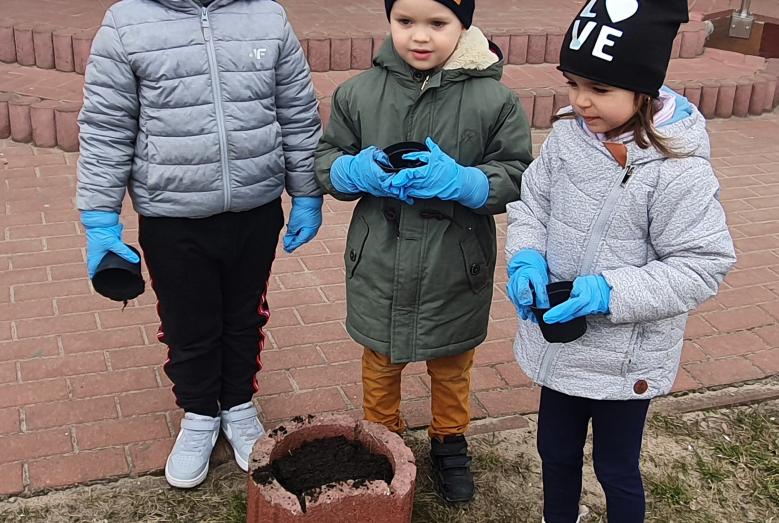 Sadzenie wiosennych kwiatów w MPS nr 2 w Mławie