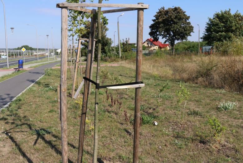Akty wandalizmu na Alei Świętego Wojciecha