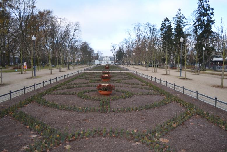 Nasadzenia w mławskim parku