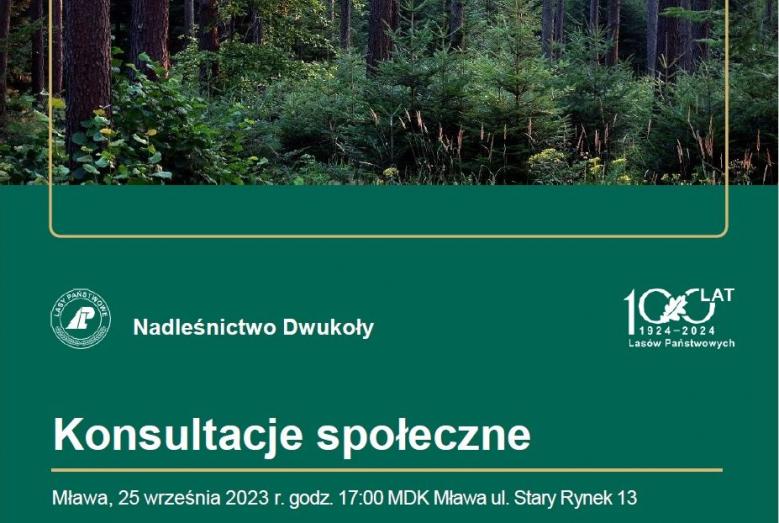 Konsultacje społeczne.jpg 173