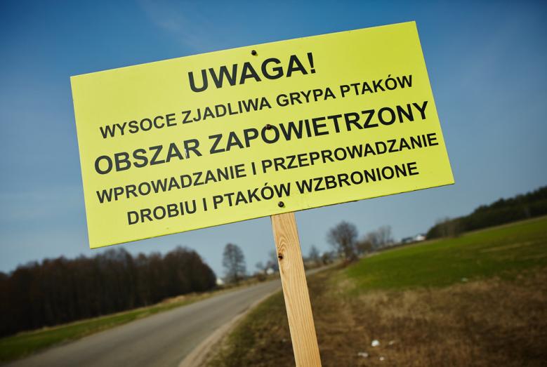 Ptasia Grypa