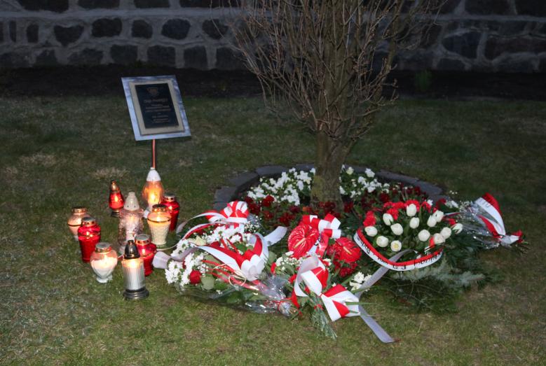 Dąb pamięci ze złożonymi wiązankami i zniczami