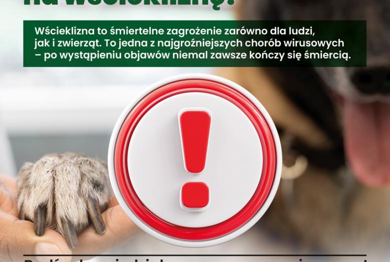 Bądź odpowiedzialny - zaszczep swojego psa!