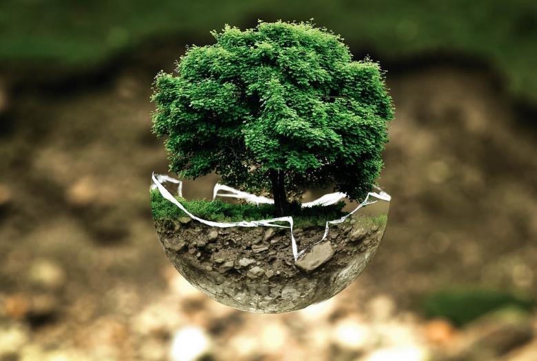 environmental-protection-683437_1280.jpg 219