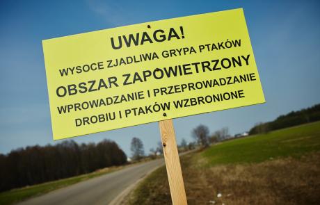 Ptasia Grypa