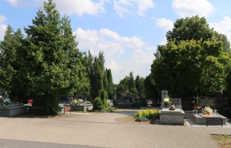 cmentarz komunalny w Mławie