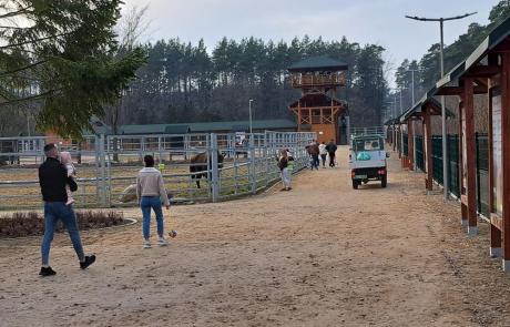 Pokazowa zagroda żubrów przy ul. Krajewo