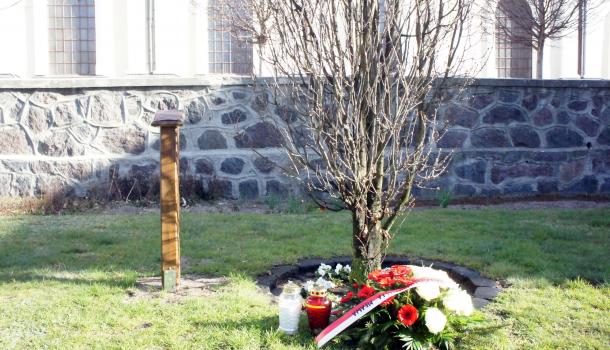 Złożenie kwiatów pod Dębem Pamięci 10 kwietnia 2020 r. - 03