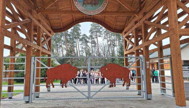 Ekologiczna przygoda uczniów SP nr 3 w Mławie – edukacyjna wyprawa do zagrody żubrów