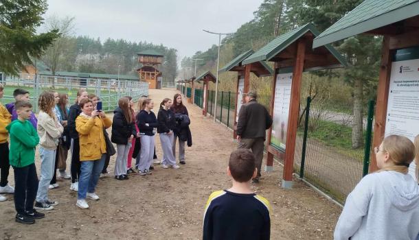 Ekologiczna przygoda uczniów SP nr 3 w Mławie – edukacyjna wyprawa do zagrody żubrów