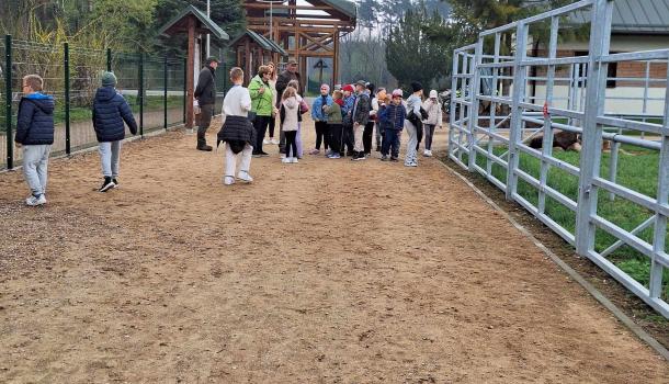 Szkoła Podstawowa nr 3 w Mławie – Szkołą Ekologicznie Zaangażowaną!