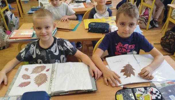 Szkoła Podstawowa nr 3 w Mławie – Szkołą Ekologicznie Zaangażowaną!