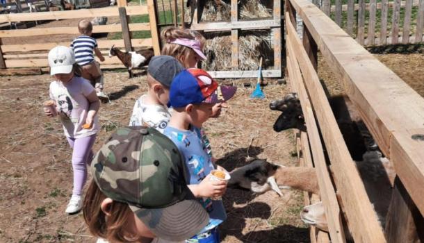 Wycieczka przedszkolaków z MPS 3 w mini zoo