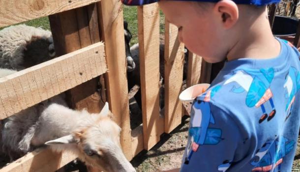 Wycieczka przedszkolaków z MPS 3 w mini zoo