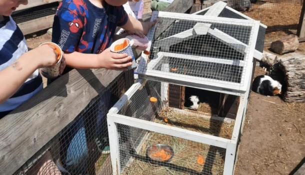Wycieczka przedszkolaków z MPS 3 w mini zoo