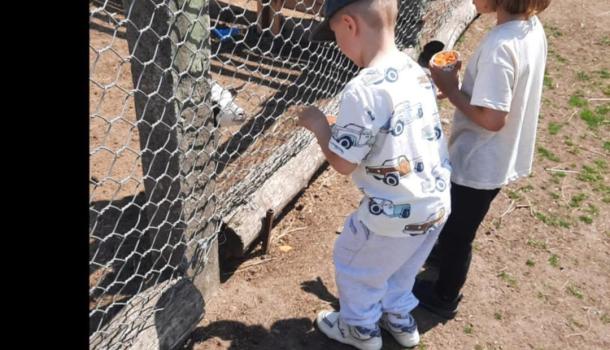 Wycieczka przedszkolaków z MPS 3 w mini zoo
