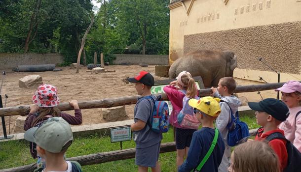 Wycieczka do Płocka przedszkolaków z SP nr 3